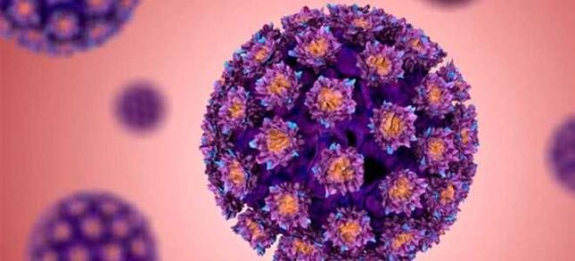 HPV - Papilomavírus Humano